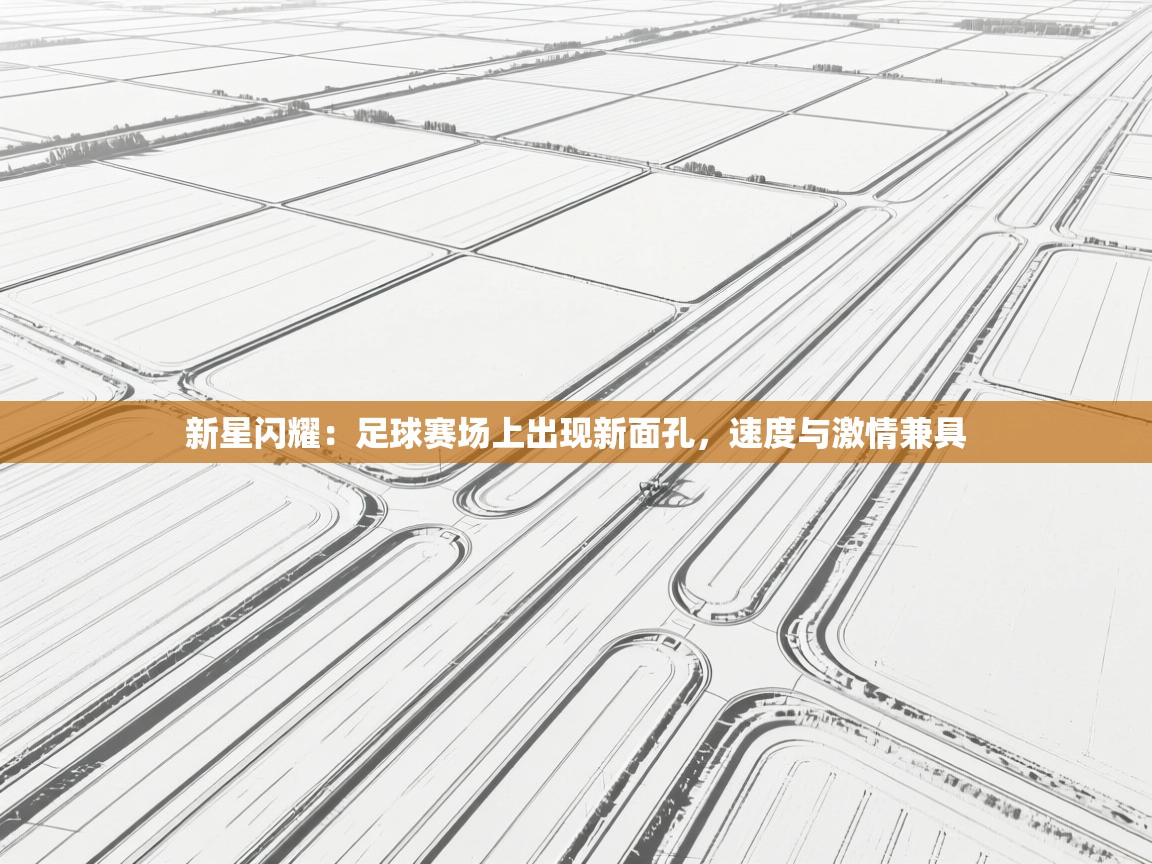 新星闪耀：足球赛场上出现新面孔，速度与激情兼具  第1张