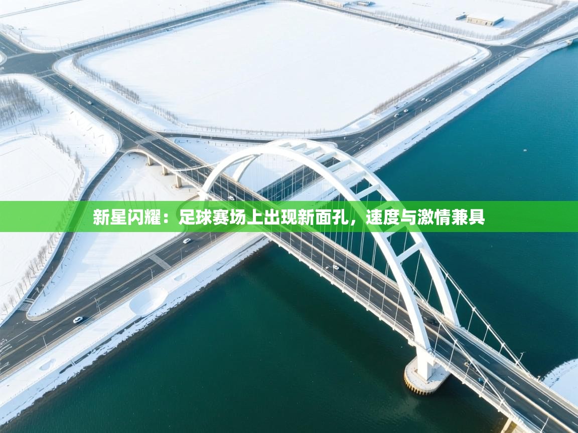新星闪耀：足球赛场上出现新面孔，速度与激情兼具  第2张