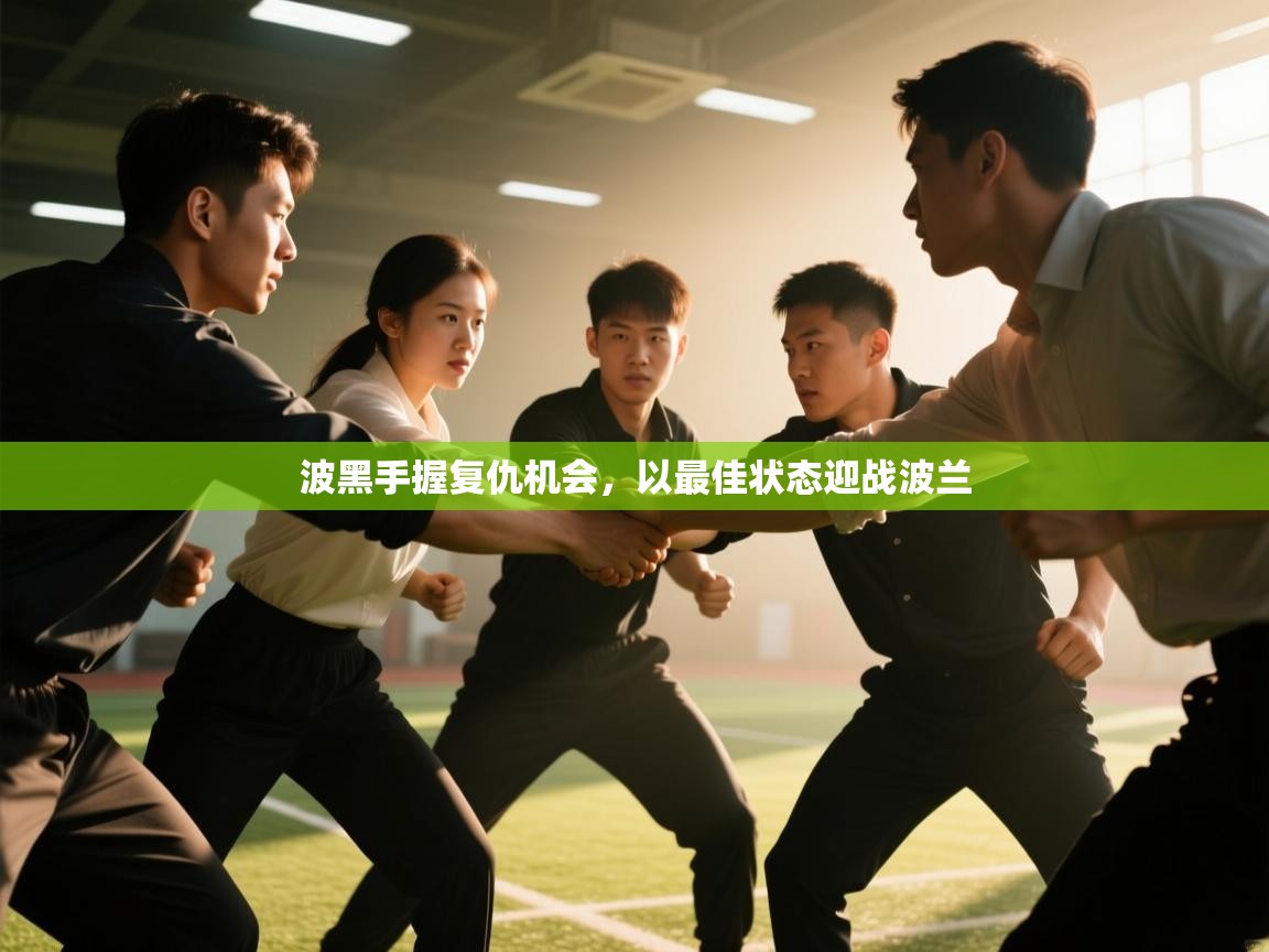 波黑手握复仇机会,以最佳状态迎战波兰 第2张