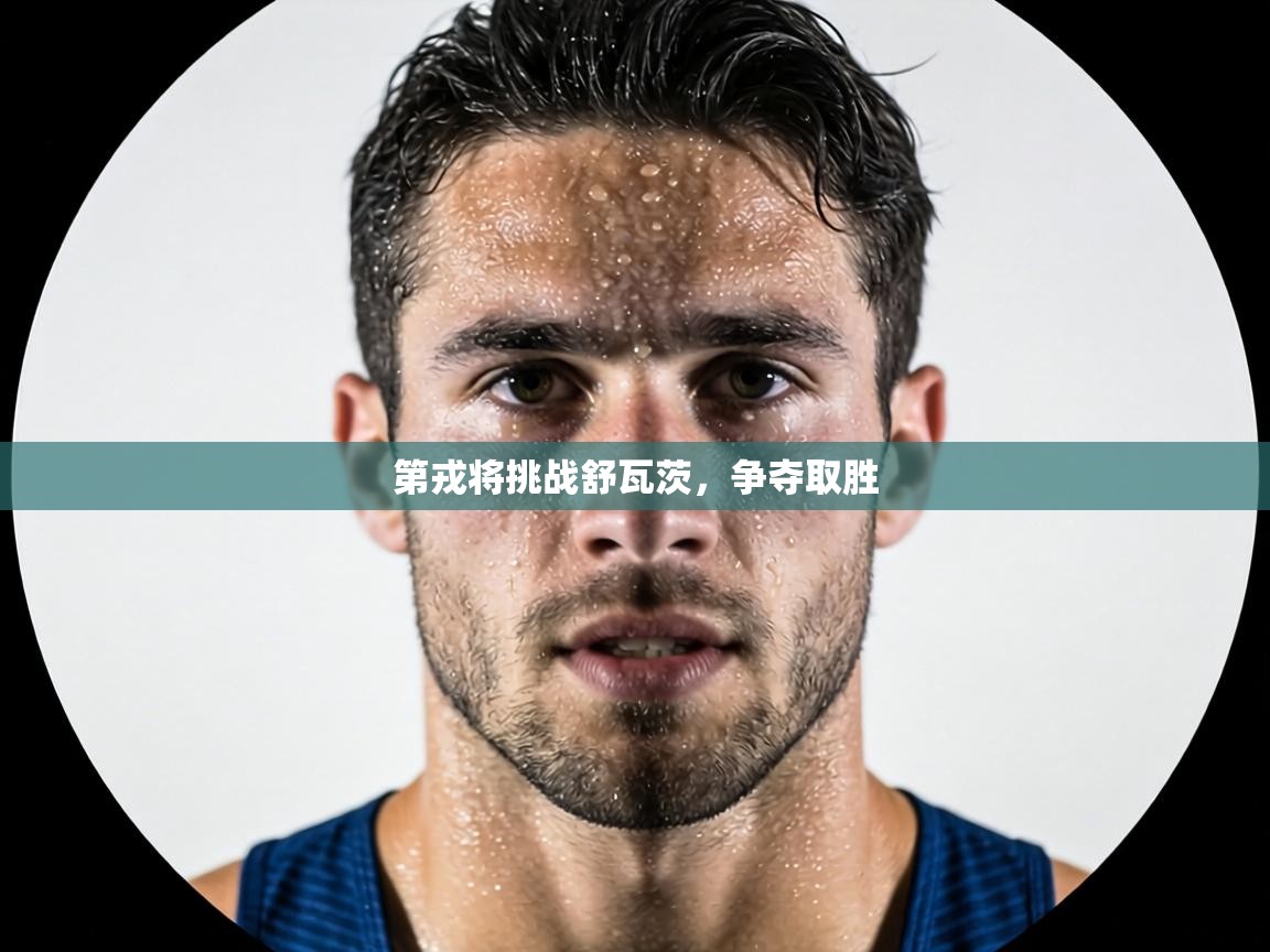 第戎将挑战舒瓦茨，争夺取胜  第1张