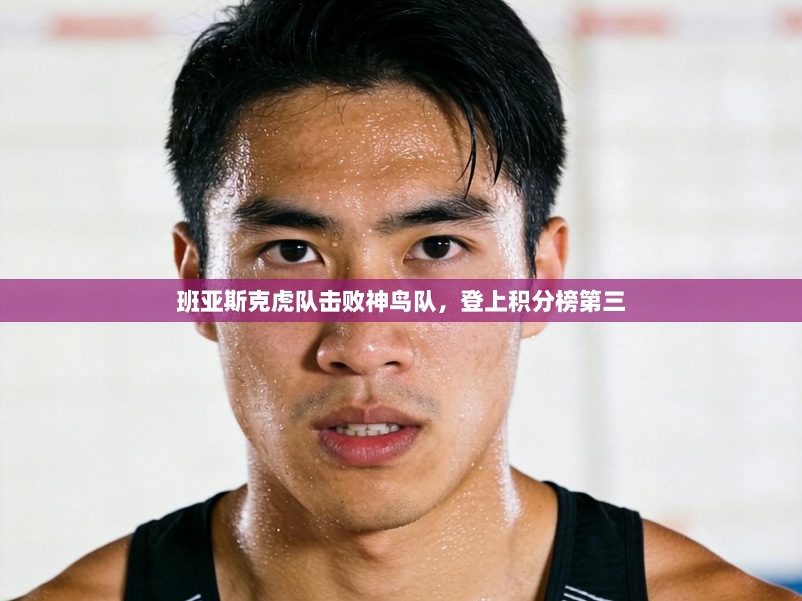 班亚斯克虎队击败神鸟队,登上积分榜第三 第1张